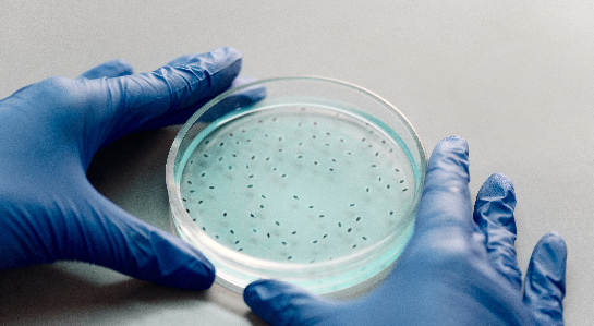 Legionella Risk Control